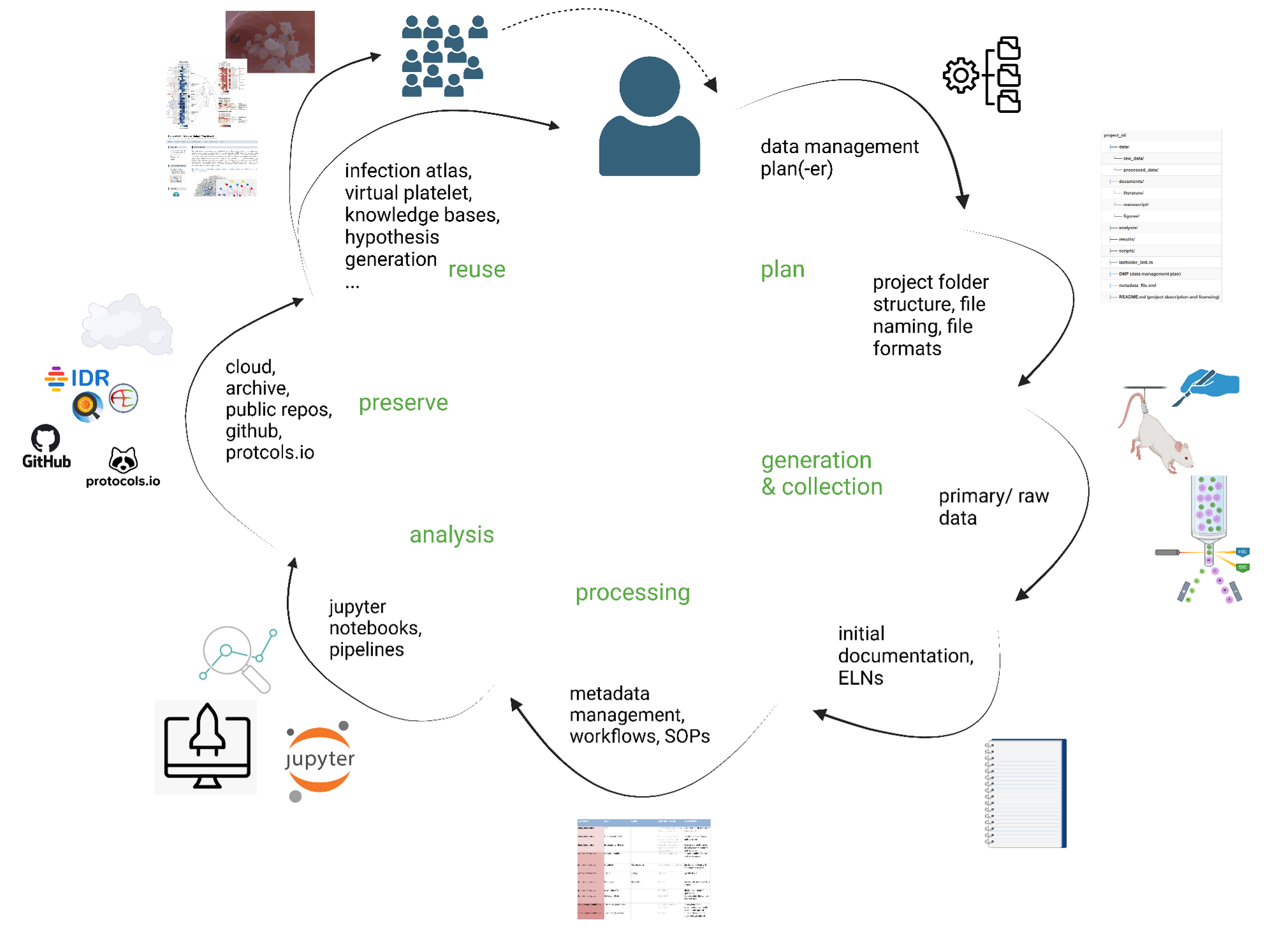 Research Data Life Cycle